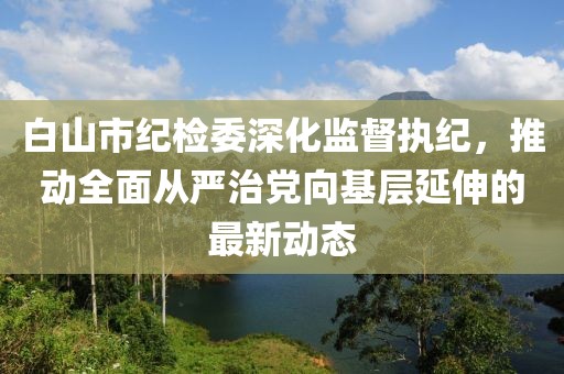 白山市紀(jì)檢委深化監(jiān)督執(zhí)紀(jì)，推動全面從嚴(yán)治黨向基層延伸的最新動態(tài)
