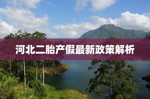 河北二胎產假最新政策解析