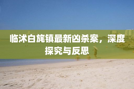 臨沭白旄鎮(zhèn)最新兇殺案，深度探究與反思