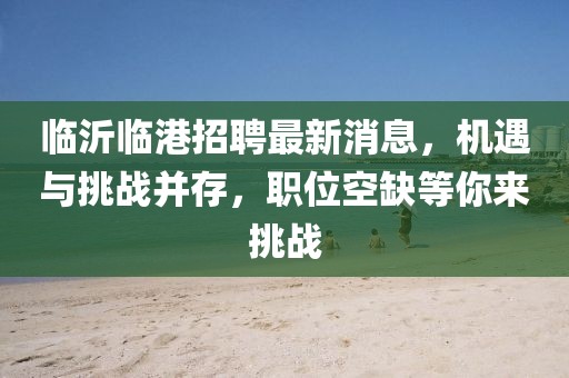 臨沂臨港招聘最新消息，機(jī)遇與挑戰(zhàn)并存，職位空缺等你來(lái)挑戰(zhàn)