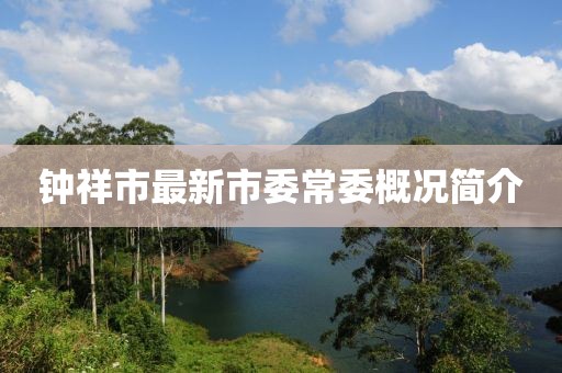 鐘祥市最新市委常委概況簡介