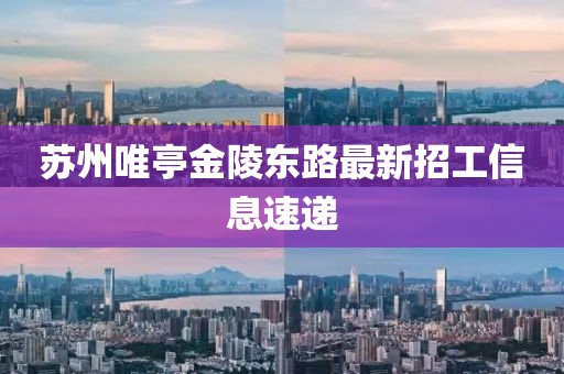 蘇州唯亭金陵?yáng)|路最新招工信息速遞
