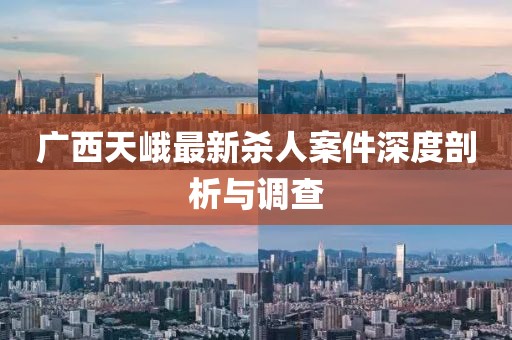 廣西天峨最新殺人案件深度剖析與調(diào)查