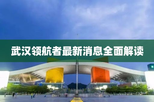 武漢領(lǐng)航者最新消息全面解讀