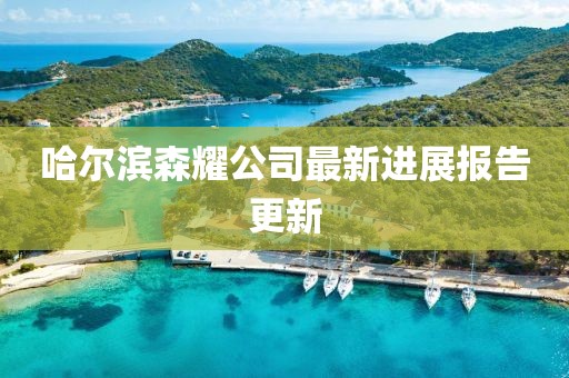 哈爾濱森耀公司最新進展報告更新