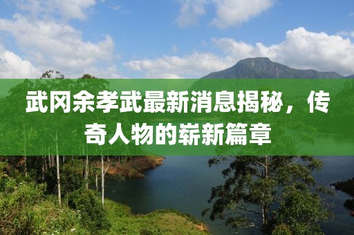 武岡余孝武最新消息揭秘，傳奇人物的嶄新篇章