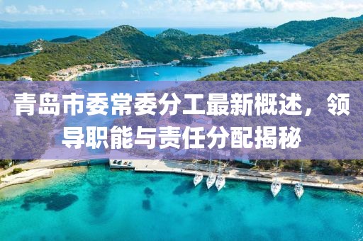 青島市委常委分工最新概述，領(lǐng)導(dǎo)職能與責(zé)任分配揭秘
