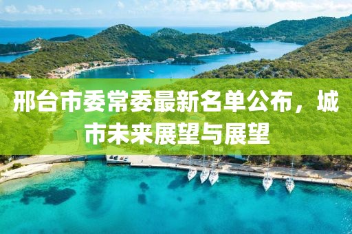 邢臺(tái)市委常委最新名單公布，城市未來展望與展望