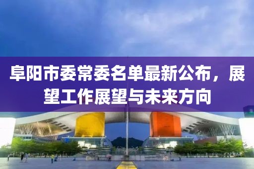 阜陽(yáng)市委常委名單最新公布，展望工作展望與未來(lái)方向