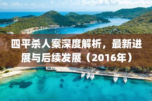 四平殺人案深度解析，最新進(jìn)展與后續(xù)發(fā)展（2016年）
