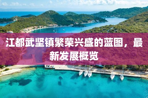 江都武堅鎮(zhèn)繁榮興盛的藍(lán)圖，最新發(fā)展概覽