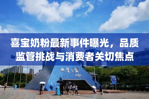 喜寶奶粉最新事件曝光，品質(zhì)監(jiān)管挑戰(zhàn)與消費(fèi)者關(guān)切焦點(diǎn)
