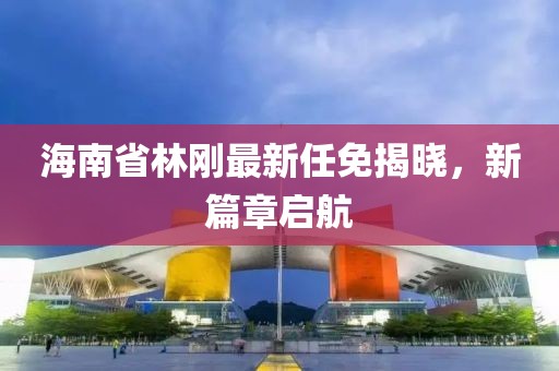 海南省林剛最新任免揭曉，新篇章啟航