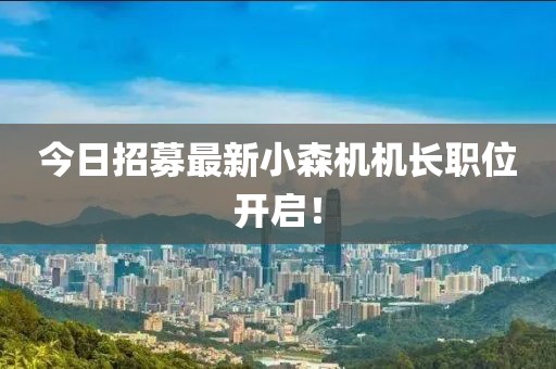 今日招募最新小森機(jī)機(jī)長(zhǎng)職位開(kāi)啟！