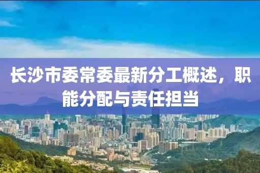 長沙市委常委最新分工概述，職能分配與責(zé)任擔(dān)當(dāng)