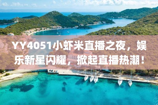 YY4051小蝦米直播之夜，娛樂(lè)新星閃耀，掀起直播熱潮！