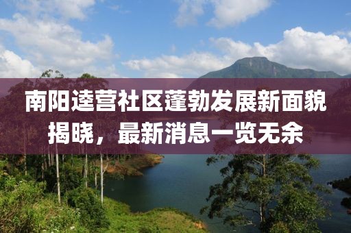 南陽逵營社區(qū)蓬勃發(fā)展新面貌揭曉，最新消息一覽無余