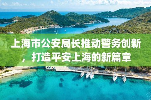 上海市公安局長推動警務(wù)創(chuàng)新，打造平安上海的新篇章