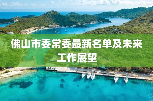 佛山市委常委最新名單及未來工作展望
