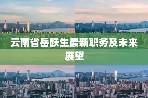 云南省岳躍生最新職務(wù)及未來展望