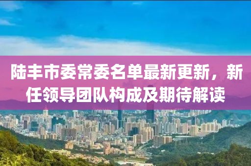 陸豐市委常委名單最新更新，新任領(lǐng)導(dǎo)團(tuán)隊構(gòu)成及期待解讀