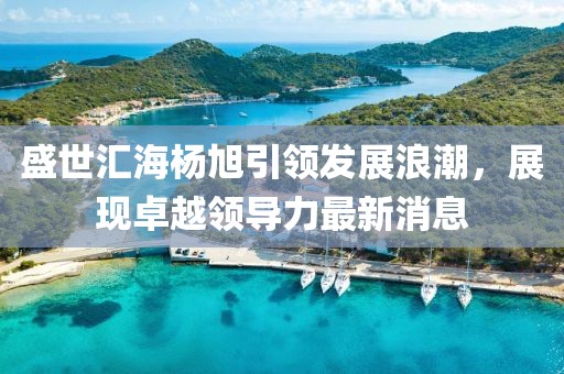 盛世匯海楊旭引領(lǐng)發(fā)展浪潮，展現(xiàn)卓越領(lǐng)導(dǎo)力最新消息