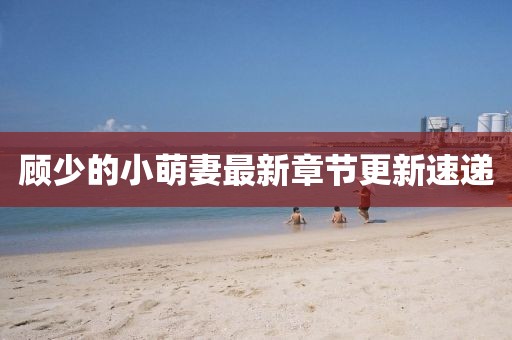 顧少的小萌妻最新章節(jié)更新速遞