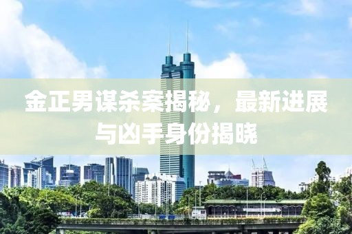 金正男謀殺案揭秘，最新進展與兇手身份揭曉