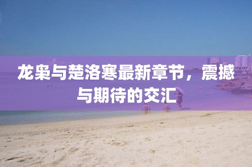 龍梟與楚洛寒最新章節(jié)，震撼與期待的交匯