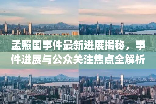 孟照國事件最新進(jìn)展揭秘，事件進(jìn)展與公眾關(guān)注焦點(diǎn)全解析