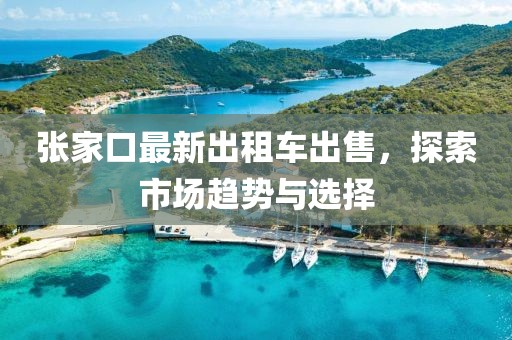 張家口最新出租車出售，探索市場趨勢與選擇