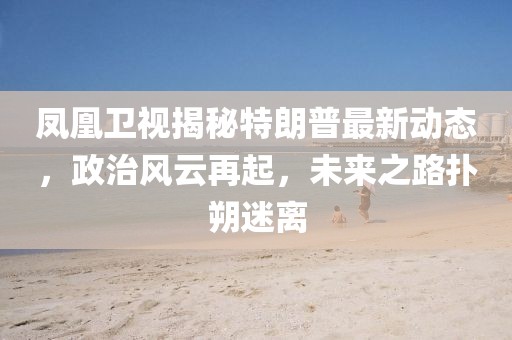鳳凰衛(wèi)視揭秘特朗普最新動(dòng)態(tài)，政治風(fēng)云再起，未來(lái)之路撲朔迷離