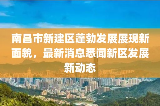 南昌市新建區(qū)蓬勃發(fā)展展現(xiàn)新面貌，最新消息悉聞新區(qū)發(fā)展新動態(tài)