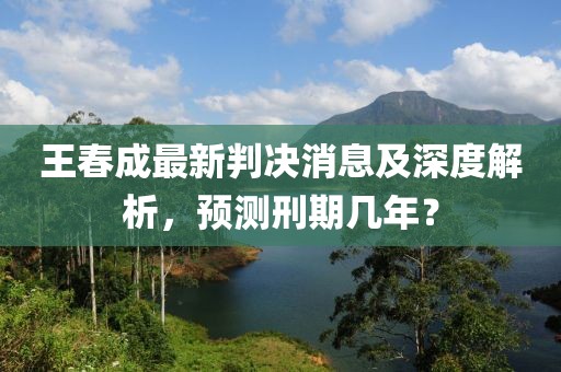 王春成最新判決消息及深度解析，預測刑期幾年？