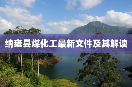 納雍縣煤化工最新文件及其解讀