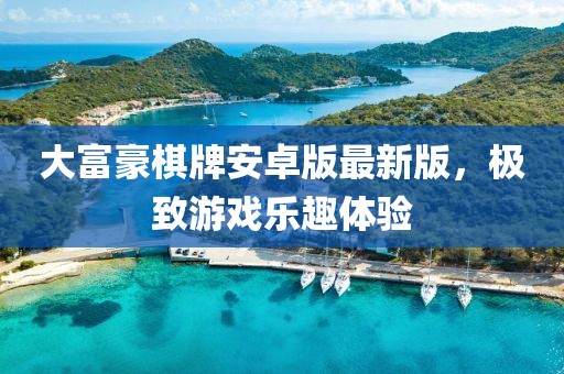 大富豪棋牌安卓版最新版，極致游戲樂趣體驗