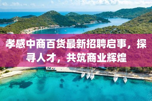 孝感中商百貨最新招聘啟事，探尋人才，共筑商業(yè)輝煌