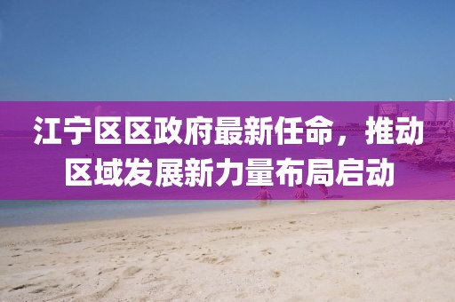 江寧區(qū)區(qū)政府最新任命，推動區(qū)域發(fā)展新力量布局啟動