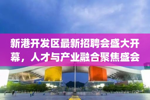 新港開(kāi)發(fā)區(qū)最新招聘會(huì)盛大開(kāi)幕，人才與產(chǎn)業(yè)融合聚焦盛會(huì)