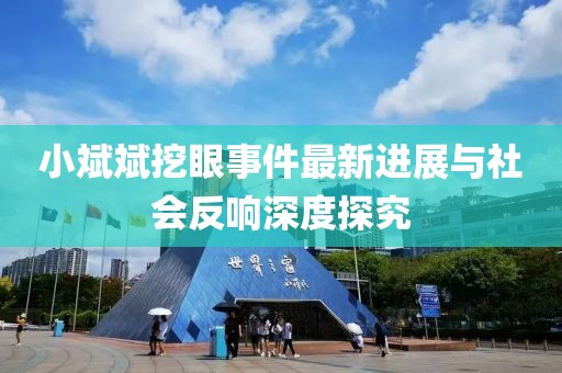 小斌斌挖眼事件最新進(jìn)展與社會(huì)反響深度探究