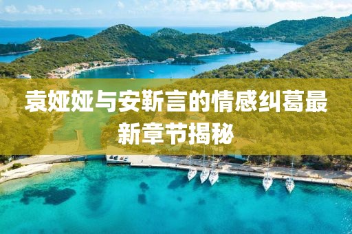 袁婭婭與安靳言的情感糾葛最新章節(jié)揭秘