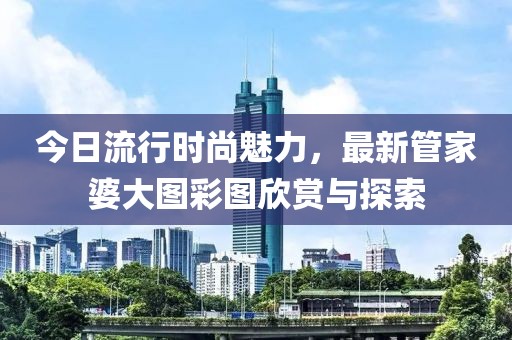 今日流行時尚魅力，最新管家婆大圖彩圖欣賞與探索