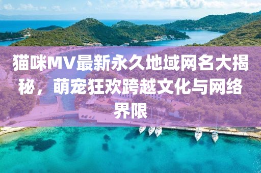 貓咪MV最新永久地域網(wǎng)名大揭秘，萌寵狂歡跨越文化與網(wǎng)絡界限