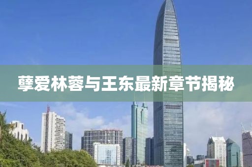 孽愛林蓉與王東最新章節(jié)揭秘