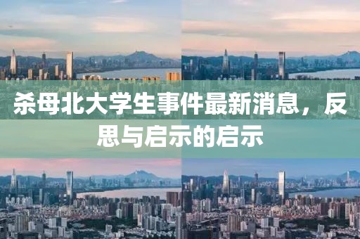 殺母北大學(xué)生事件最新消息，反思與啟示的啟示