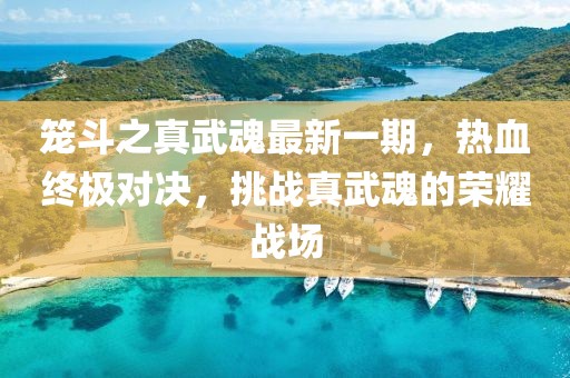 籠斗之真武魂最新一期，熱血終極對決，挑戰(zhàn)真武魂的榮耀戰(zhàn)場