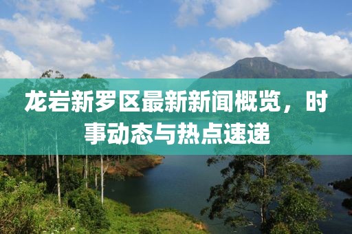 龍巖新羅區(qū)最新新聞概覽，時(shí)事動(dòng)態(tài)與熱點(diǎn)速遞