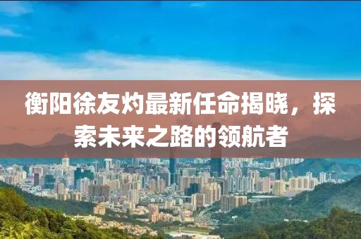 衡陽徐友灼最新任命揭曉，探索未來之路的領(lǐng)航者