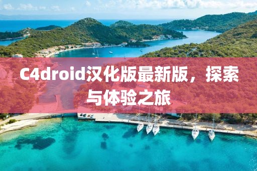 C4droid漢化版最新版，探索與體驗(yàn)之旅