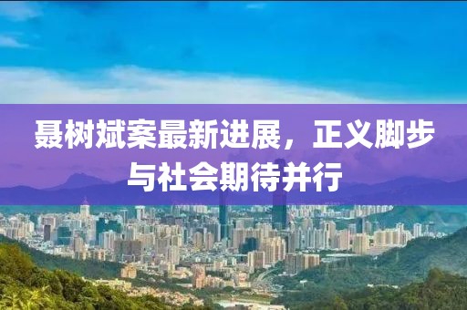 聶樹斌案最新進(jìn)展，正義腳步與社會期待并行